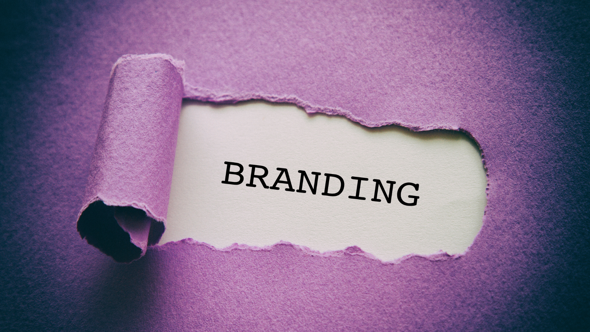 Branding digital: como a Branddi blinda a sua identidade?