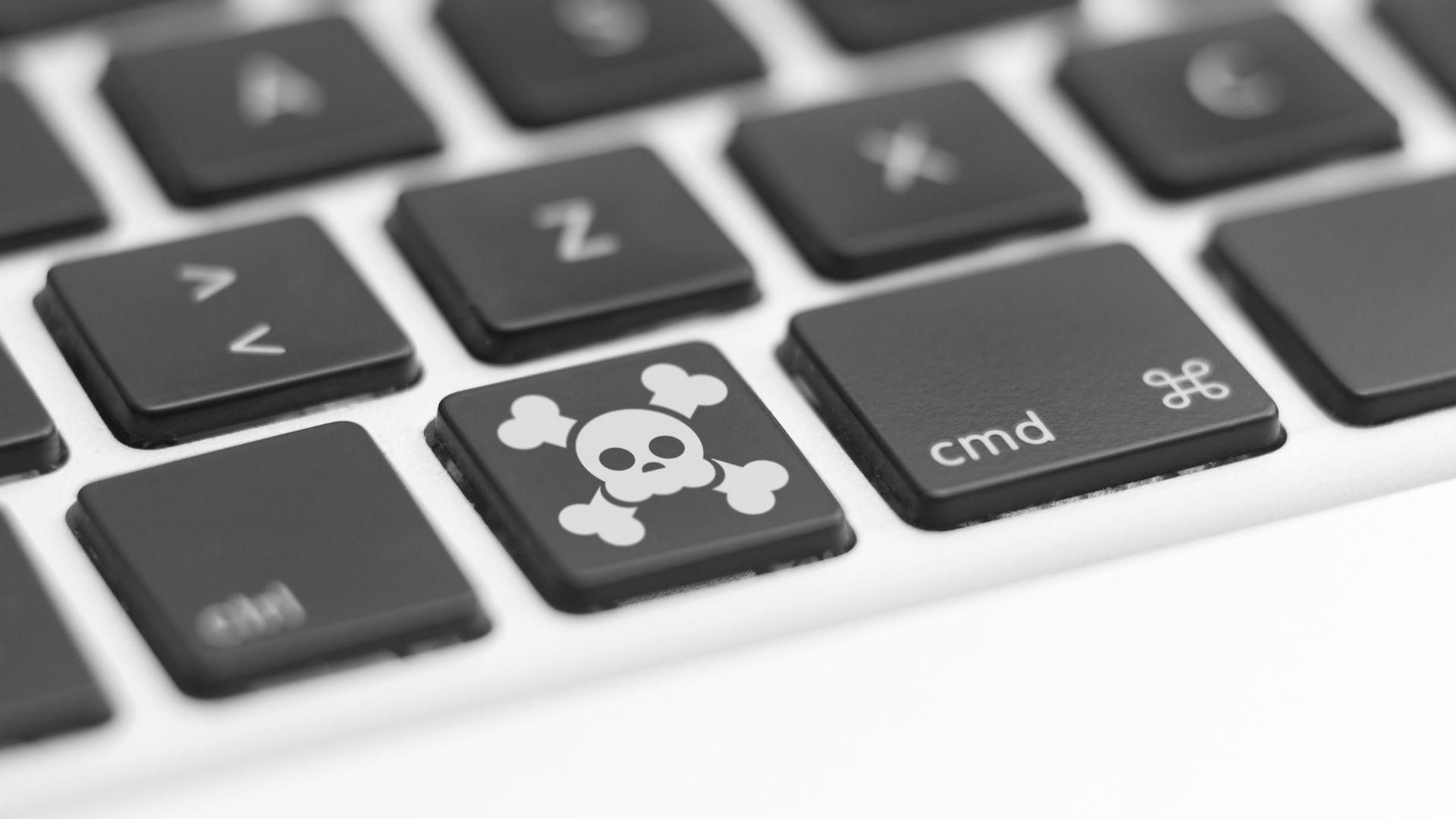 Ação da Anatel contra pirataria de telecomunicações reforça urgência da proteção de marcas no Brasil
