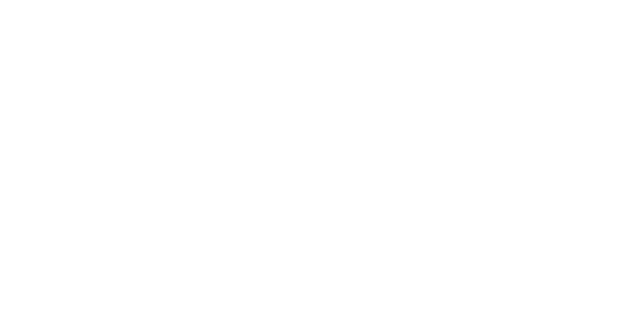Fast Shop
