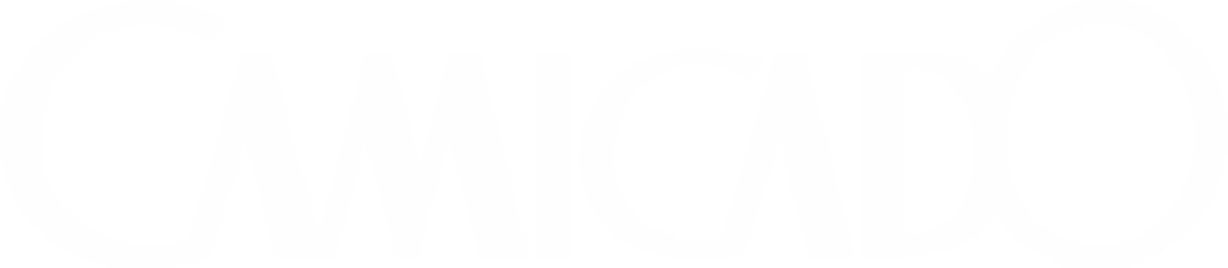 Camicado